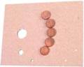 Nivel - BOARD SPD SWT W/CONTACT  E