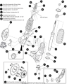 EZ-GO Parts - XT Strut Ball Joint - Image 1