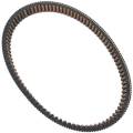 EZ-GO Parts - 977-mm CVT Drive Belt - Image 2