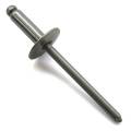 Rivet, .156 X .55