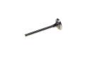 EZGO EXHAUST VALVE- MCI ENGINE