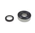 MOTOR BEARING & MAGNET KIT CC, YAM